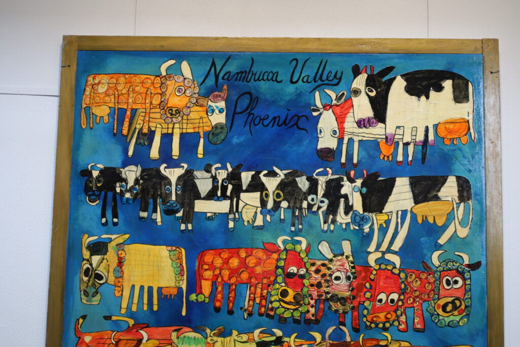 nambucca valley phoenix